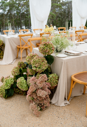 Paloma Events at The Jackson Ranch