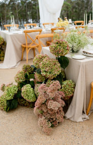 Paloma Events at The Jackson Ranch
