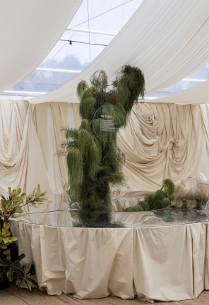 Paloma Events at The Jackson Ranch