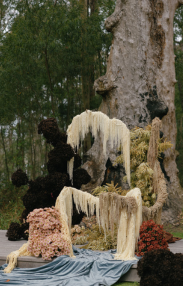 Blue Reverie at The Jackson Ranch by Bannisters