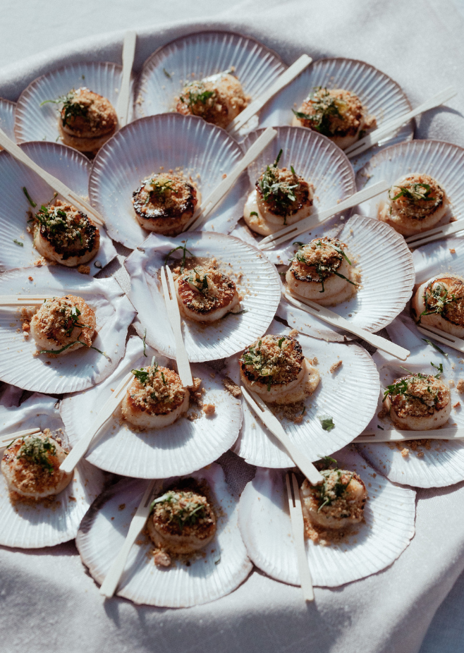 Untitled design - 2026-02-05T144823.537