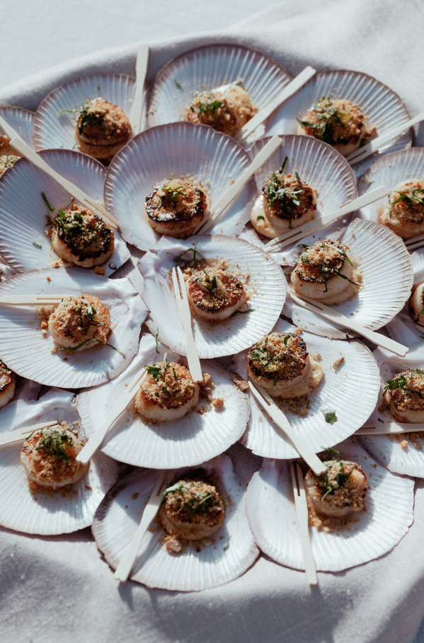 Untitled design - 2026-02-05T144842.029