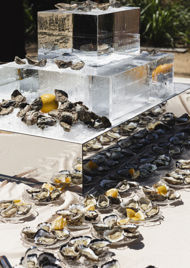 Untitled design - 2026-03-10T132402.184