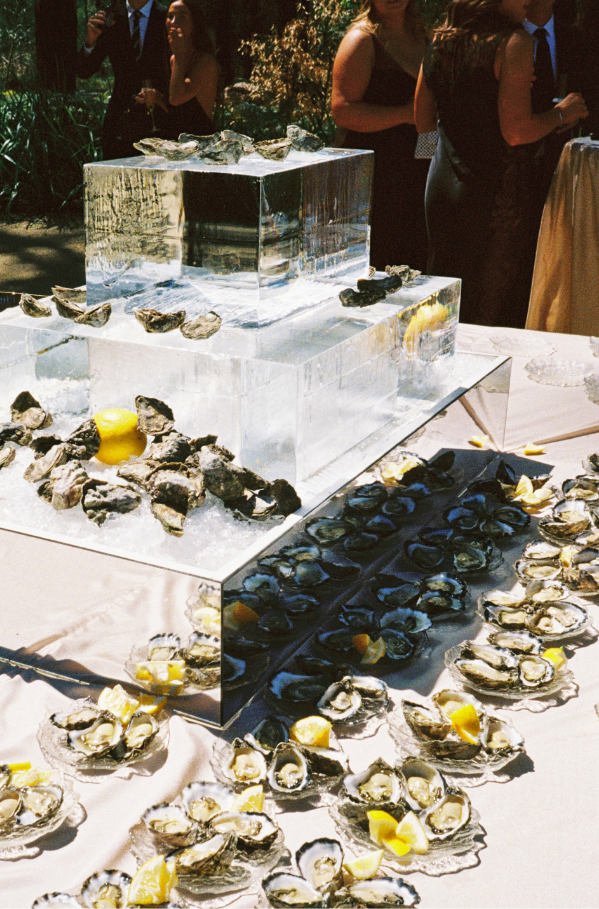 Untitled design - 2026-03-10T132420.845